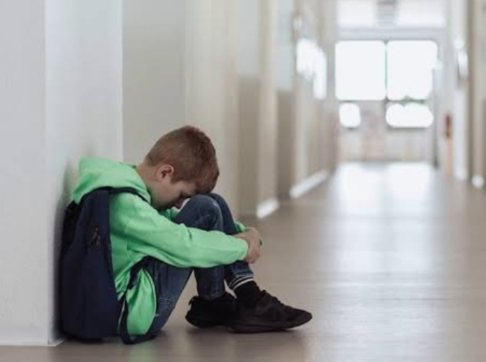 DÉVELOPPER LES COMPÉTENCES SOCIO ÉMOTIONNELLES DES ÉLÈVES